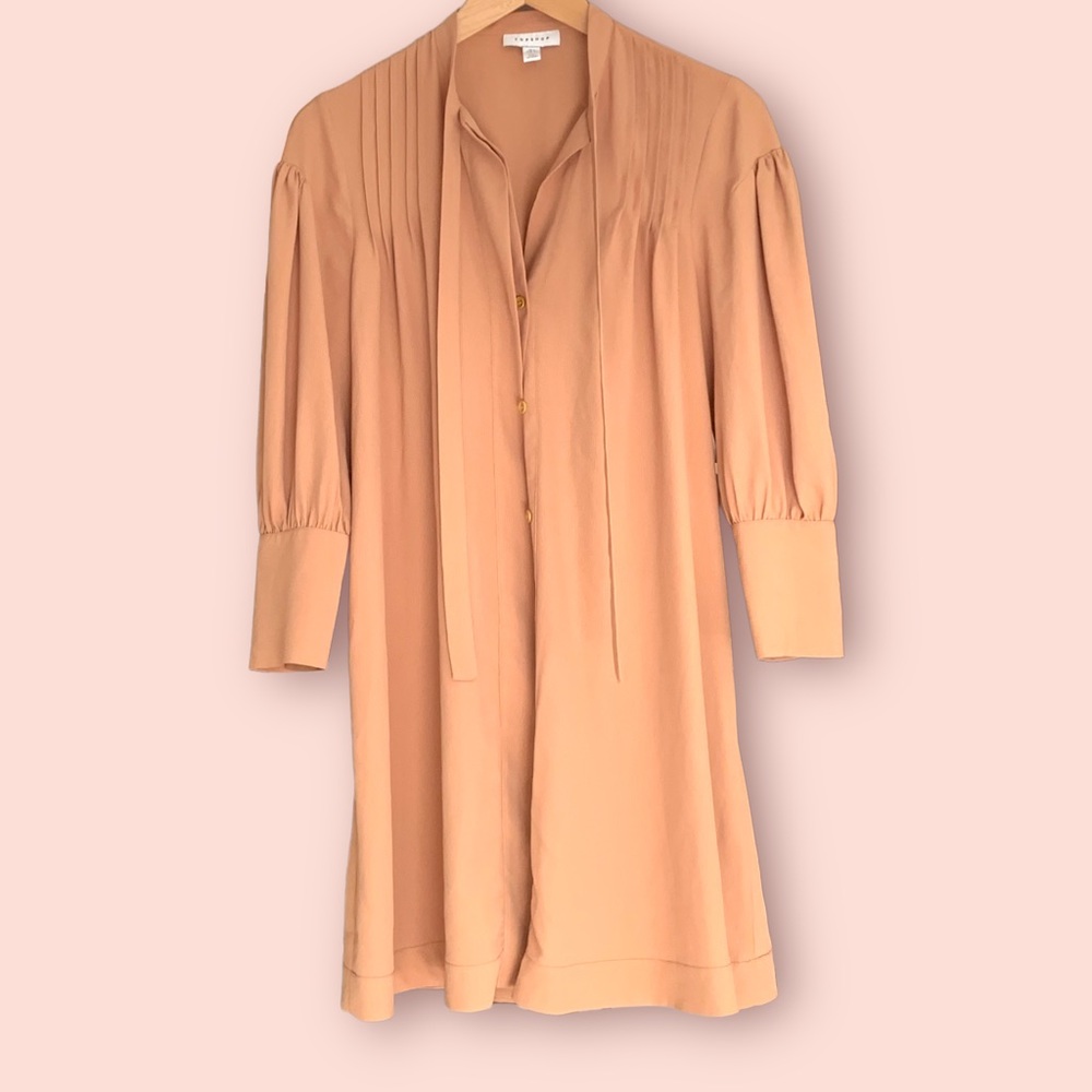 TopShop dress